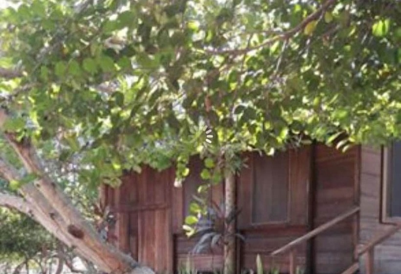 חדר סטנדרט לארבעה, Ciamat Camp