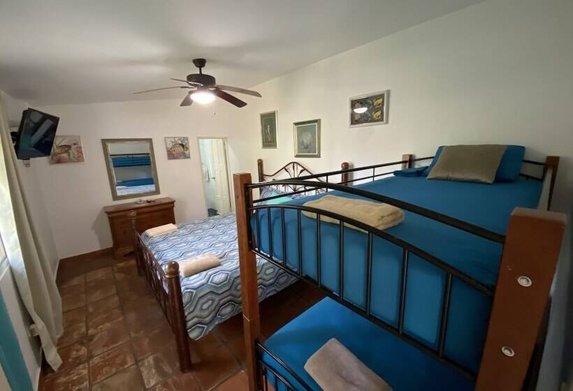 デラックスの４人部屋, Las Catalinas Coronado