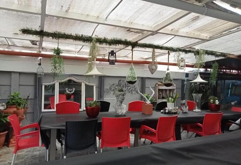 سوییت سوپریور, Mitchell S Guesthouse