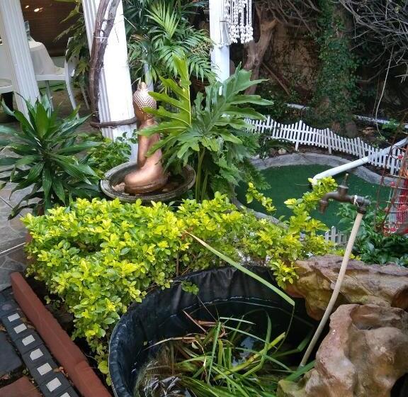 سوئیت با تخت بزرگ, Mitchell S Guesthouse