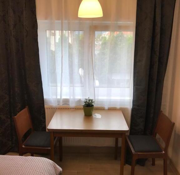 Deluxe-studio, Penzion Hornička