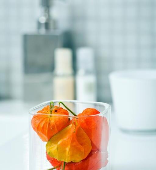 اتاق استاندارد, Mynavona