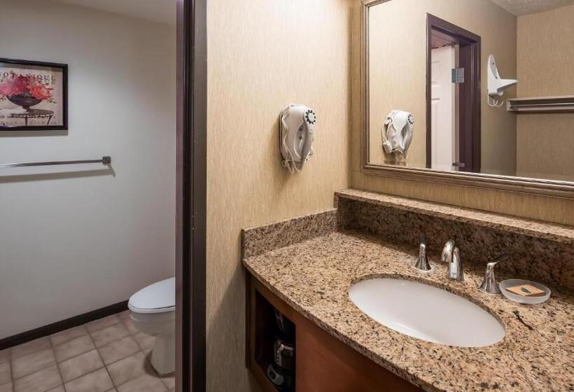 غرفة قياسية لذوى الاحتياجات الخاصة, Apple Tree Inn; Surestay Collection By Best Western