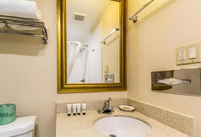 身障者適用スタンダードルーム, Countryside Suites Kansas City Independence I 70 East Sports Complex