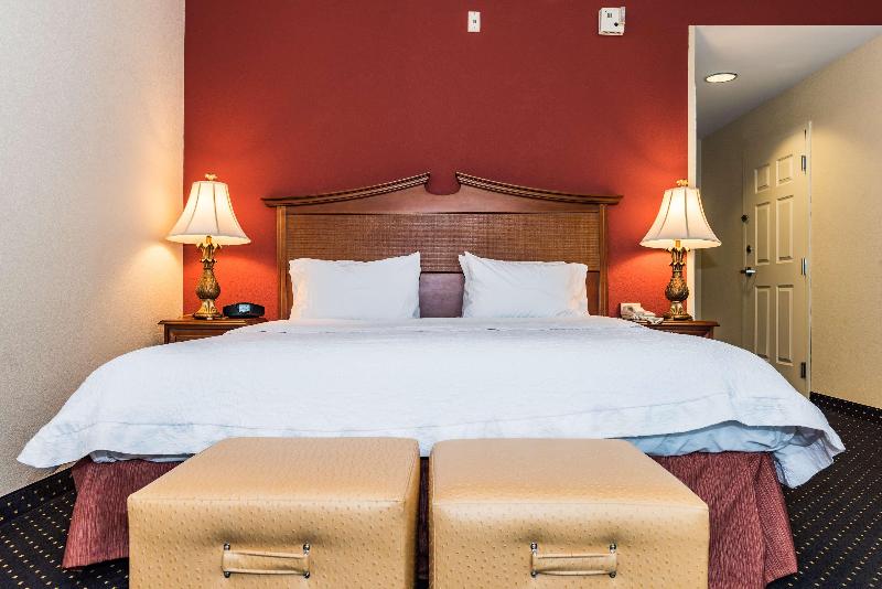 חדר דחוקס עם מיטת קינג, Hampton Inn Easton