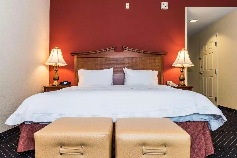 キングサイズベッドのデラックスルーム, Hampton Inn Easton