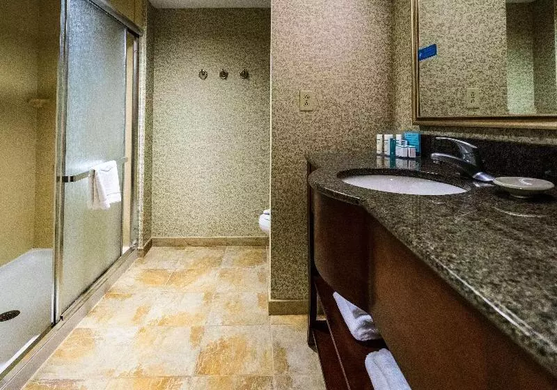 キングサイズベッドのデラックスルーム, Hampton Inn Easton