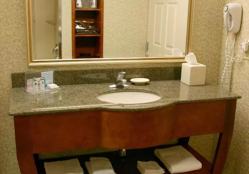 キングサイズベッドのデラックスルーム, Hampton Inn Easton