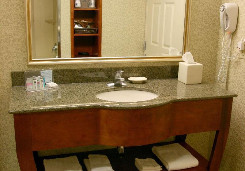 חדר דחוקס עם מיטת קינג, Hampton Inn Easton