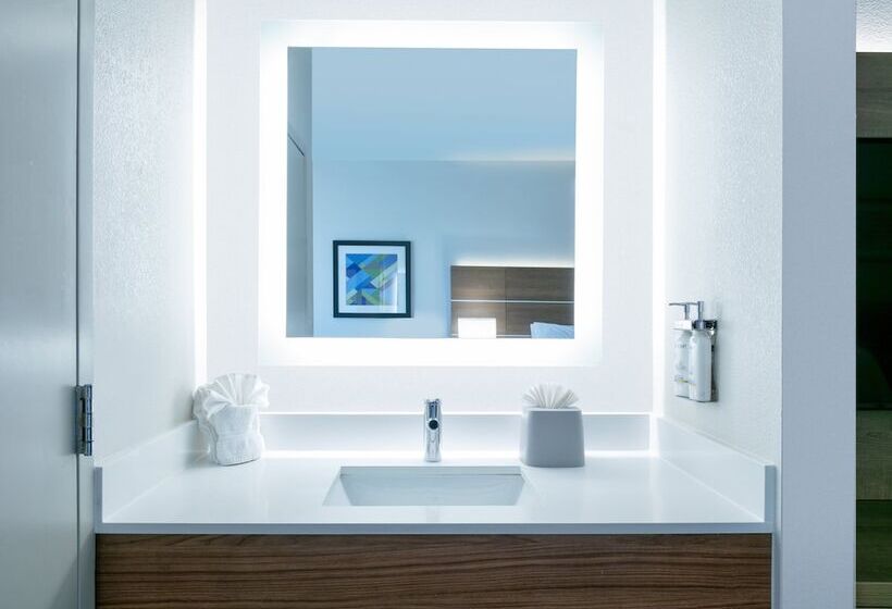 스탠다드 룸, Holiday Inn Express Hotel & Suites Dallas Fort Worth Airport South, An Ihg