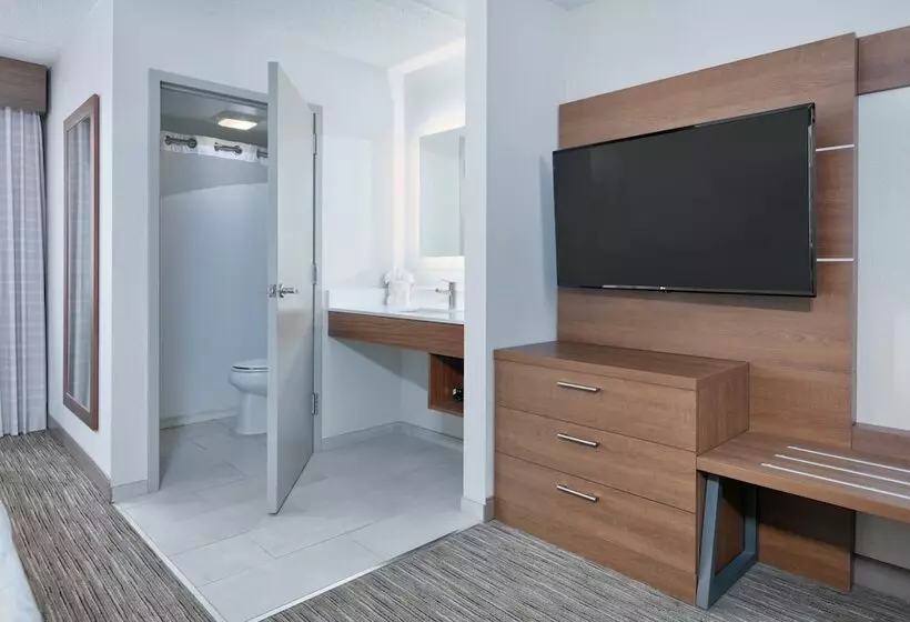 اتاق استاندارد, Holiday Inn Express Hotel & Suites Dallas Fort Worth Airport South, An Ihg