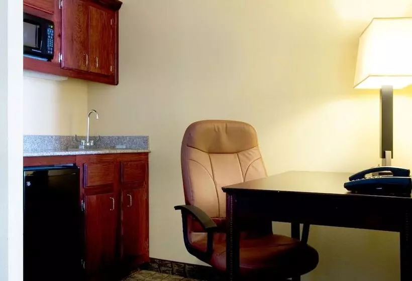 اتاق استاندارد, Holiday Inn Express Hotel & Suites Dallas Fort Worth Airport South, An Ihg