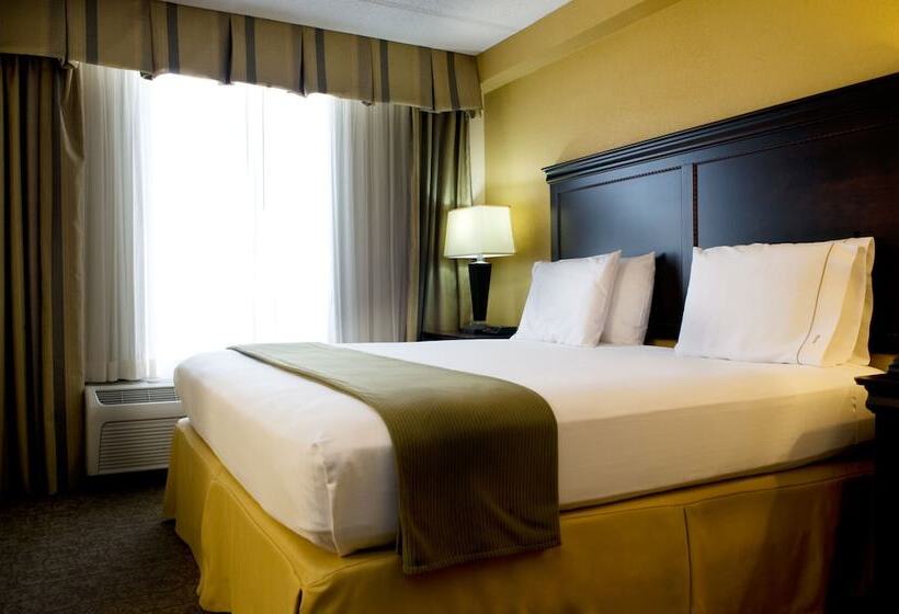 스탠다드 룸, Holiday Inn Express Hotel & Suites Dallas Fort Worth Airport South, An Ihg