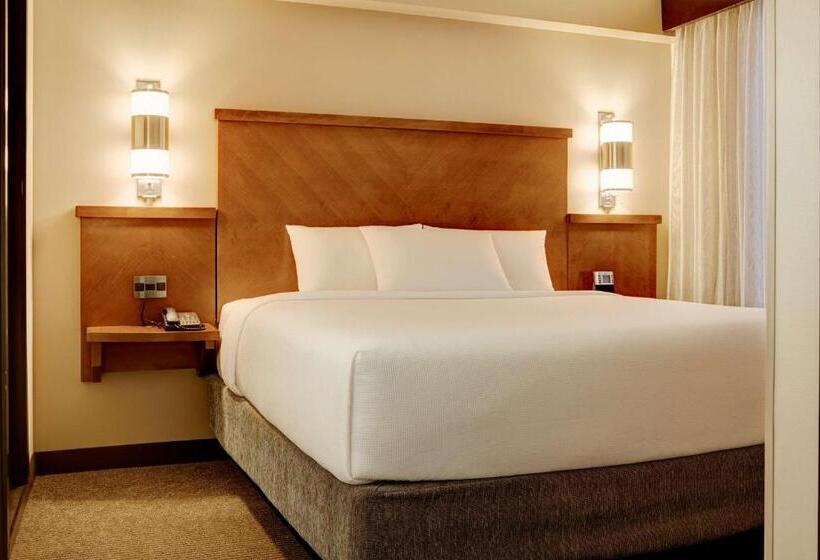 Номер Стандарт Кровать Кинг Адаптированный для Инвалидов, Hyatt Place Columbia/harbison