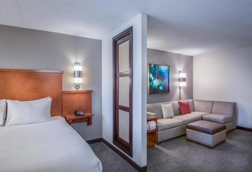 Mozgáskorlátozott Standard Szoba King Size Bed, Hyatt Place Columbia/harbison