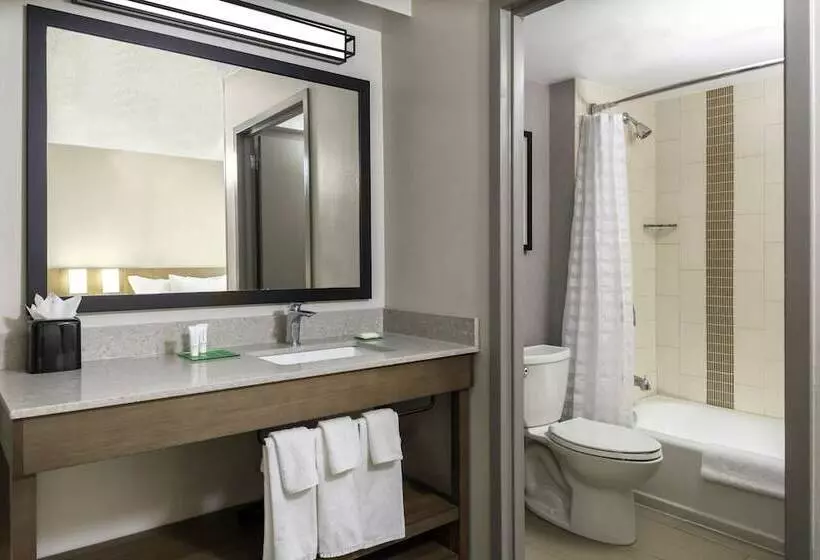 ２ダブルベッドのスタンダードルーム, Hyatt Place Dallas/arlington
