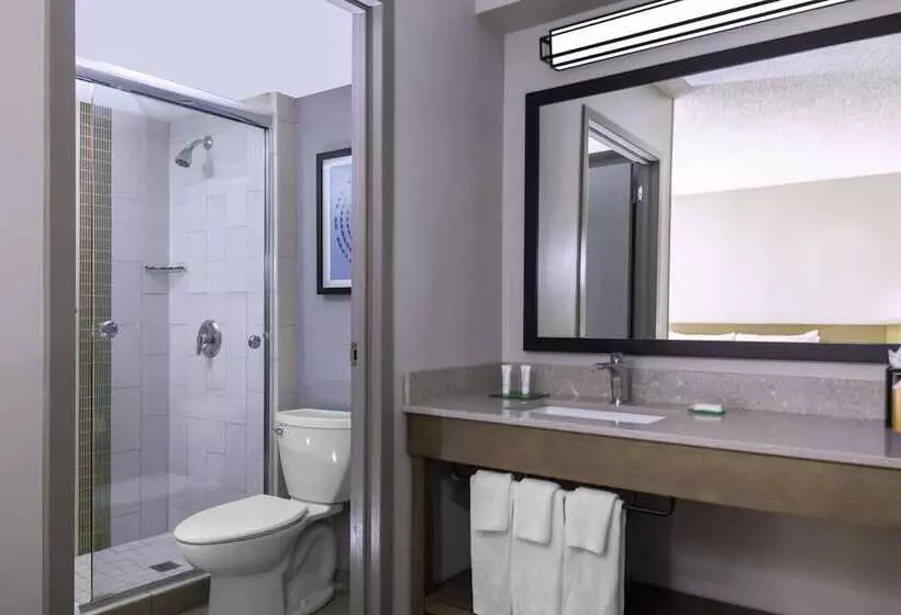 ダブルベッドスタンダードルーム, Hyatt Place Dallas/arlington