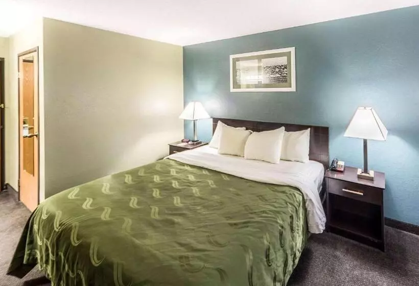 キングサイズベッドのスタンダードルーム, Quality Inn Columbia City Near Us30