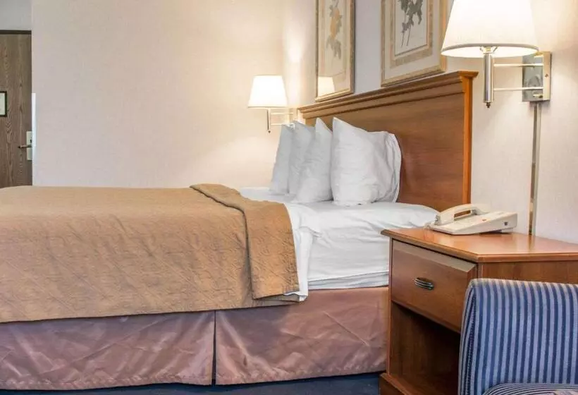 キングサイズベッドのスタンダードルーム, Quality Inn Hudsonville South