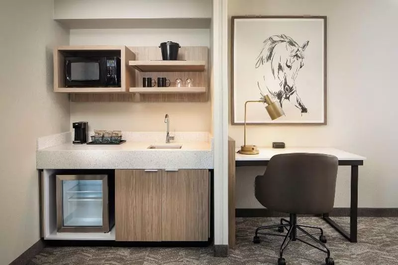 キングサイズベッドのスイートルーム, Springhill Suites By Marriott Dallas Downtown / West End
