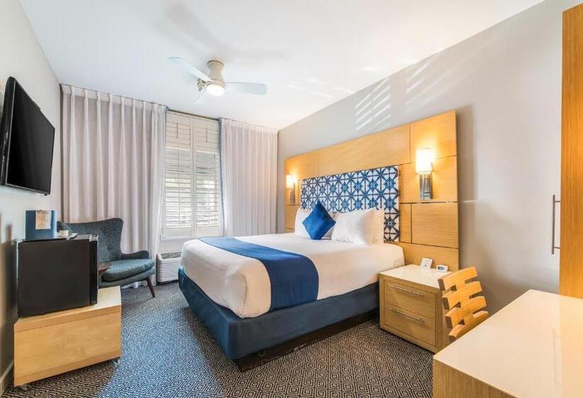 适合残疾人士使用的带超级大床的标准间, The Landon Bay Harbor Miami Beach