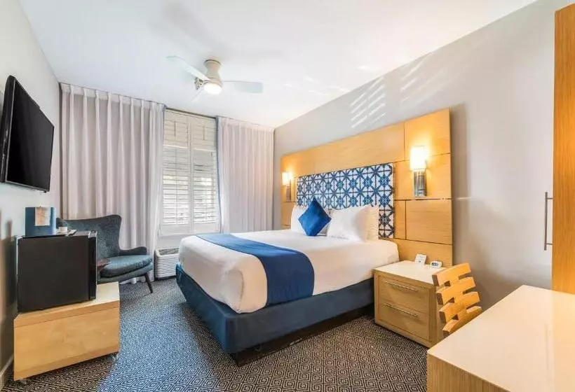 اتاق استاندارد با تخت بزرگ برای معلولان, The Landon Bay Harbor Miami Beach