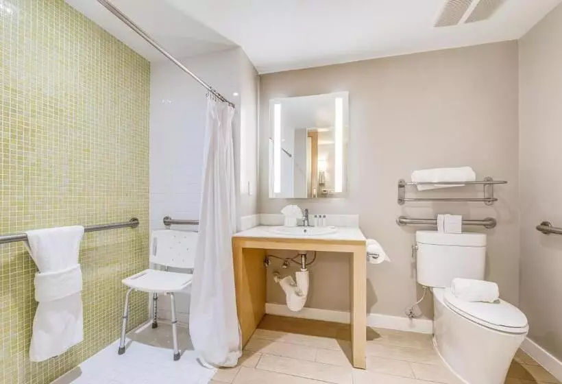 اتاق استاندارد با تخت بزرگ برای معلولان, The Landon Bay Harbor Miami Beach
