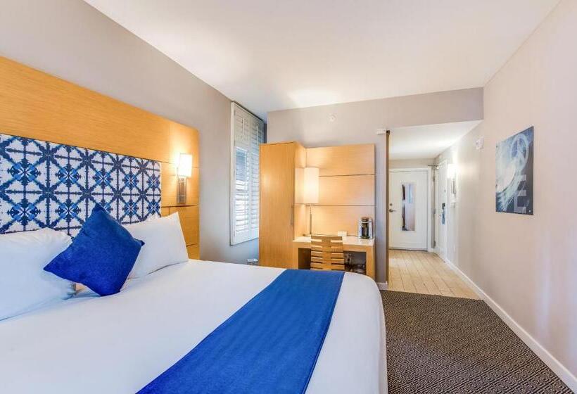 适合残疾人士使用的带超级大床的标准间, The Landon Bay Harbor Miami Beach