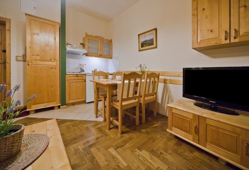 شقة غرفة واحدة, Apartamenty Apartart Zakopane
