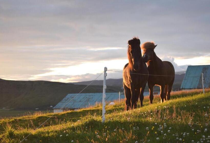 استودیوی استاندارد با چشم‌انداز دریا, Black Beach Suites