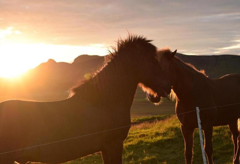 استودیوی استاندارد با چشم‌انداز دریا, Black Beach Suites