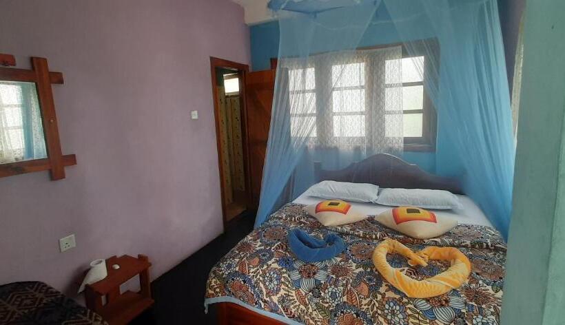 디럭스 룸, Ella New Green View