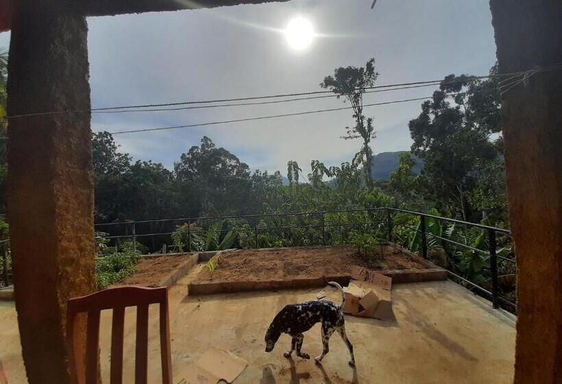 패밀리 룸 산 전망, Ella New Green View