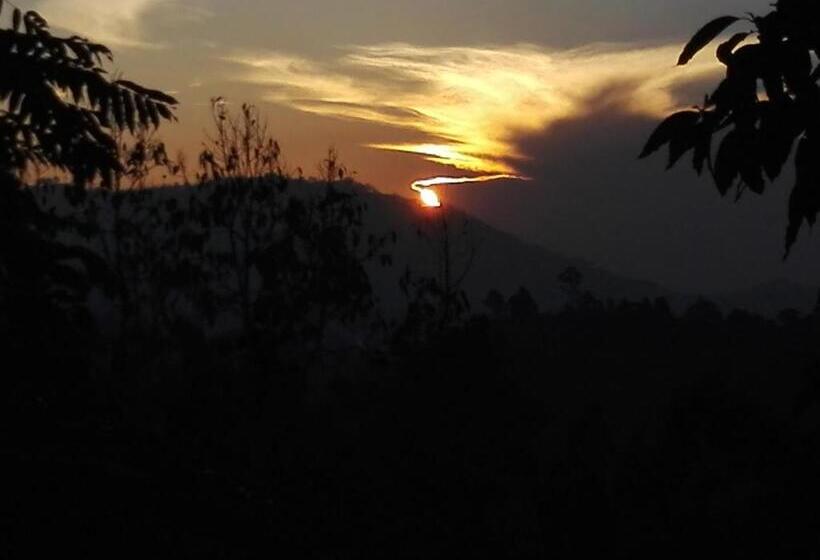 스탠다드 룸, Ella New Green View