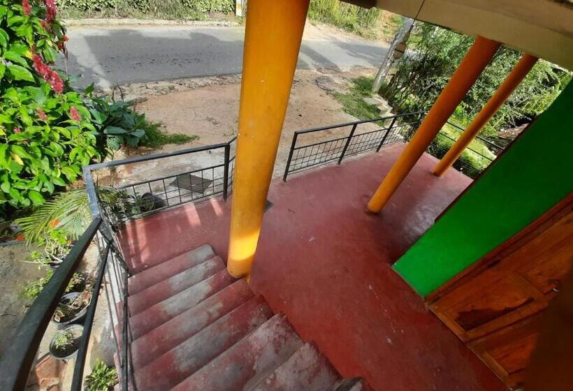 스탠다드 룸, Ella New Green View