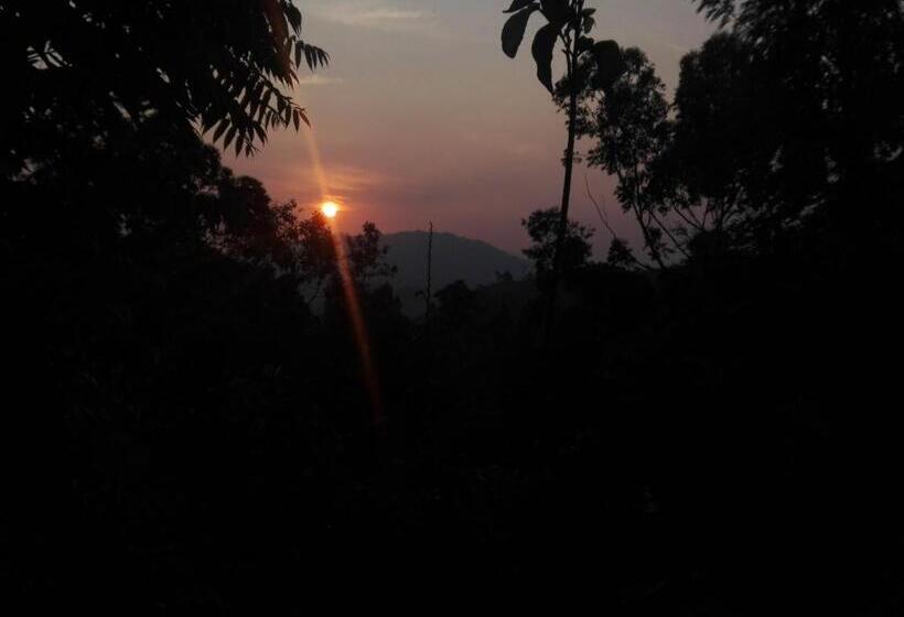 디럭스 룸, Ella New Green View