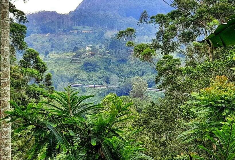 家庭山景房, Ella New Green View