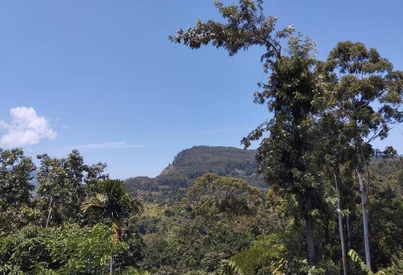 家庭山景房, Ella New Green View