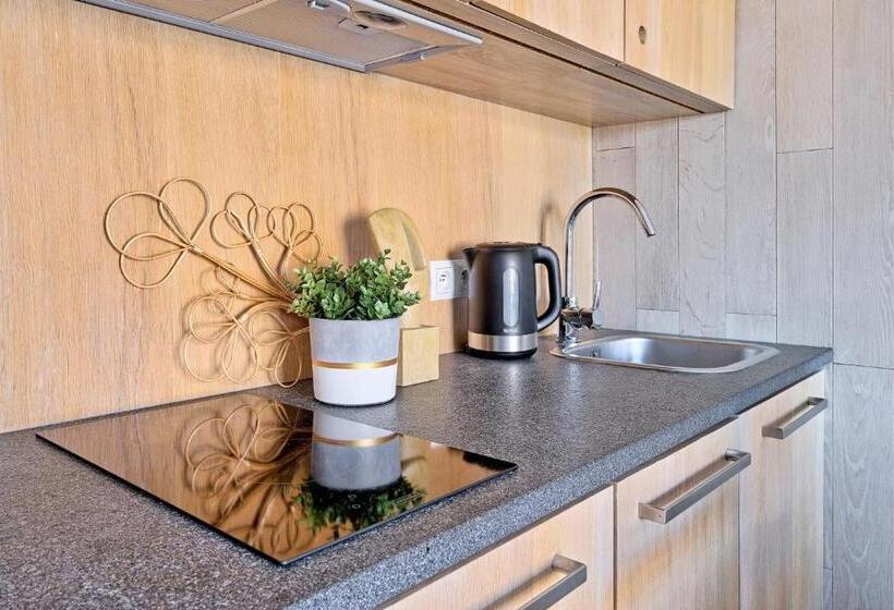 1 Szobás Deluxe Apartman, Monte House Apartments Odkryj Zakopane