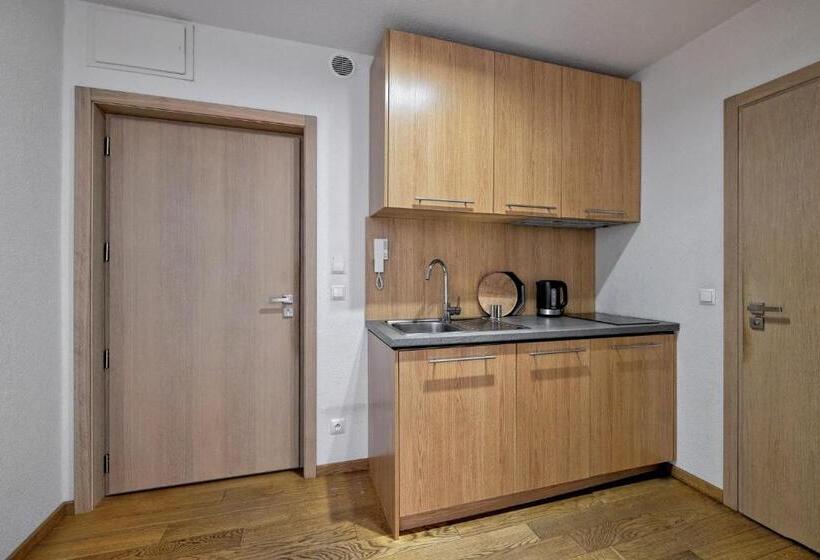 1 Szobás Apartman Földszinten, Monte House Apartments Odkryj Zakopane