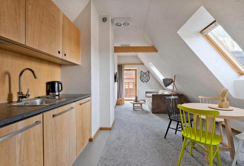 Standard Stúdió Erkéllyel, Monte House Apartments Odkryj Zakopane