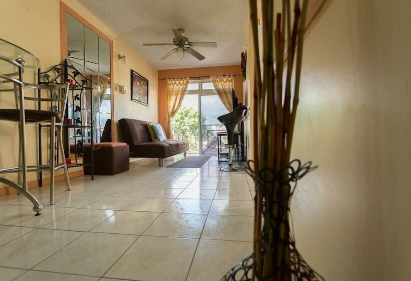 آپارتمان اجرایی 1 خوابه, New Kingston C  A Guest Apartments I