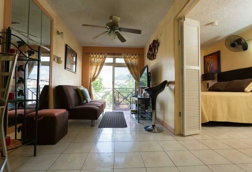 آپارتمان اجرایی 1 خوابه, New Kingston C  A Guest Apartments I