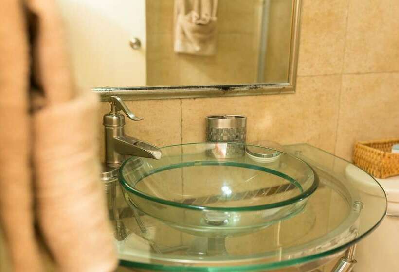 آپارتمان اجرایی 1 خوابه, New Kingston C  A Guest Apartments I