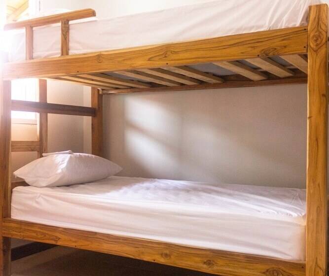 מיטה בחדר משותף, Hostal Aurora, Smith Lodging