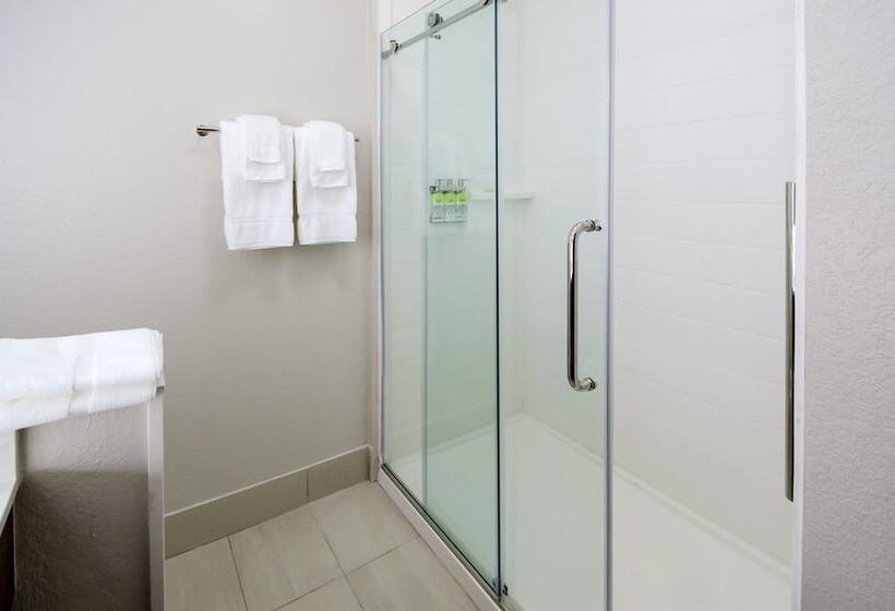 Люкс, Holiday Inn Express & Suites Taylor, An Ihg