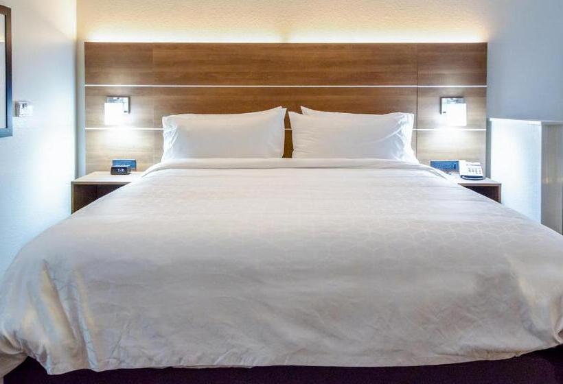 带大床的行政房间, Holiday Inn Express & Suites Taylor, An Ihg