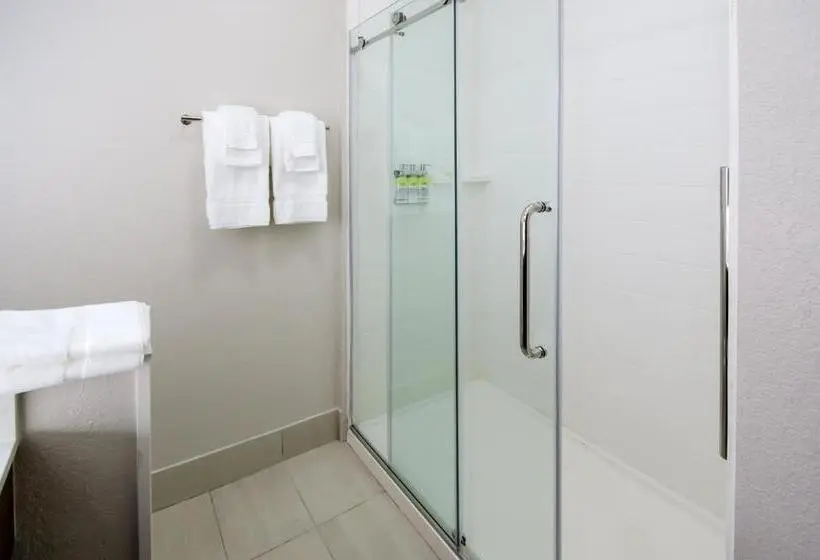 Sviitti, Holiday Inn Express & Suites Taylor, An Ihg