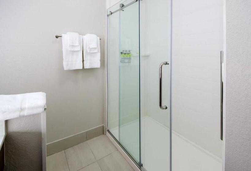 Стандартный Номер Кровать Кинг, Holiday Inn Express & Suites Taylor, An Ihg