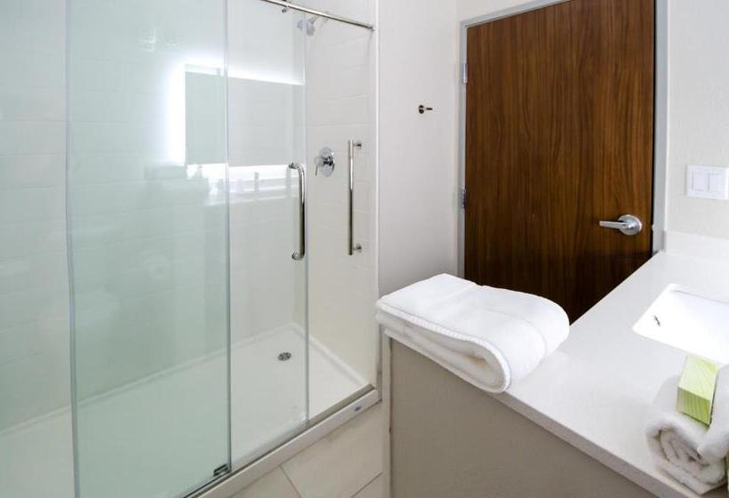 Номер Стандарт Кровать Кинг Адаптированный для Инвалидов, Holiday Inn Express & Suites Taylor, An Ihg
